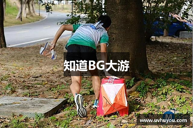 知道BG大游